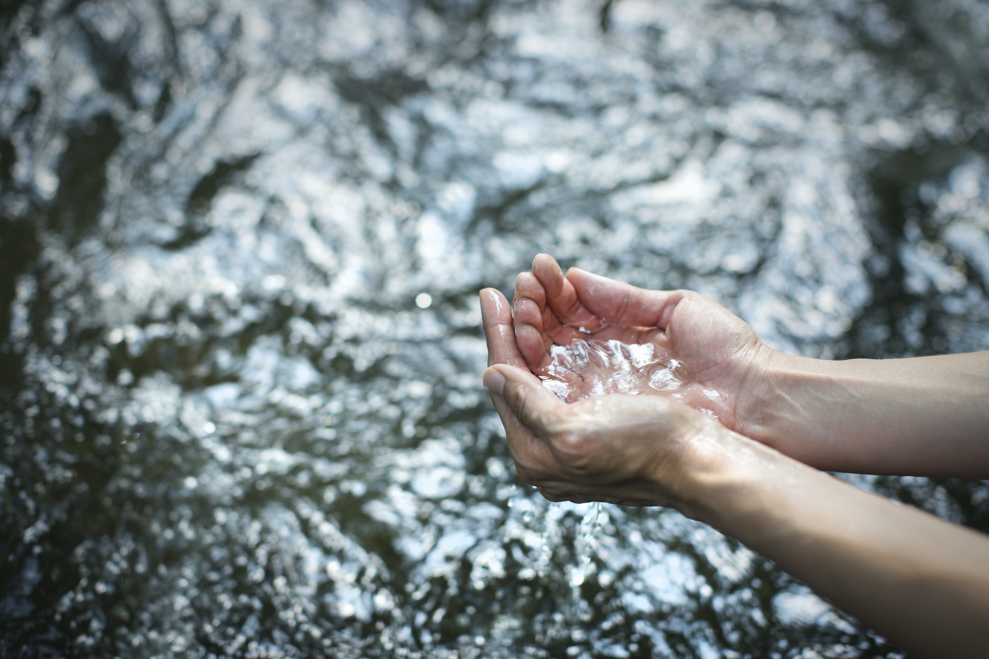 A woman cupping her hands and scooping up clear water from a river.