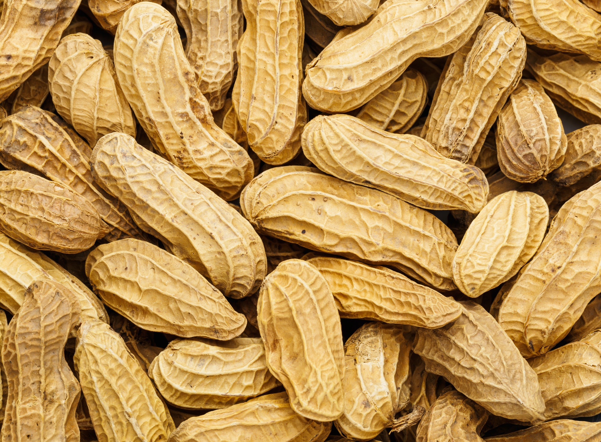 Peanut Peanut