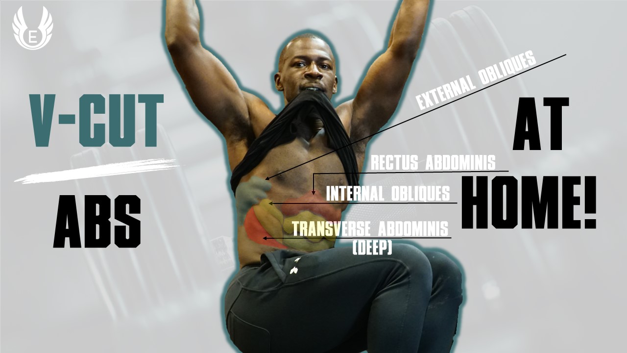 https://www.elitehealthandphysique.com/wp-content/uploads/2022/09/Ab-Muscles-Defined.jpg
