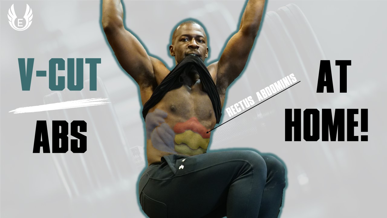 beginner abs workout at home image of man with defined abs rectus abdominis highlight
