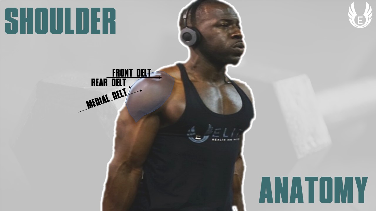 how to get bigger shoulders | shoulder workout at the gym